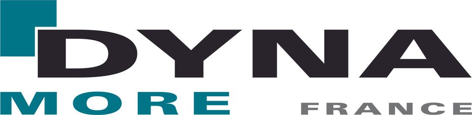 Dynamore France Dynamore France