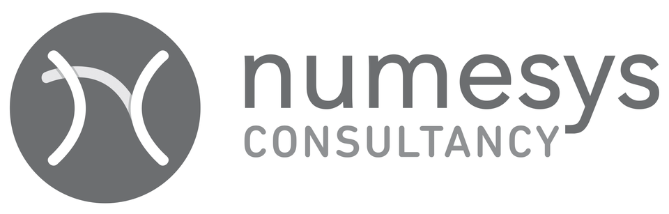 Numesys Consultancy Numesys Consultancy