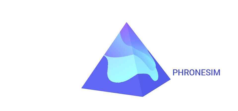 ENGINEERING SIMULATION STRATEGY SERVICES  ENGINEERING SIMULATION STRATEGY SERVICES